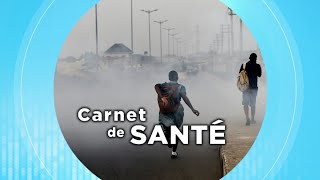 Carnet de santé  la pollution de lair [upl. by Novikoff973]