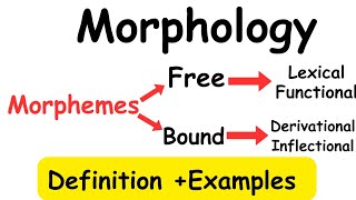 MorphologyMorphemeTypes of morphemelinguistics [upl. by Atinrahc]