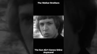 The Walker Brothers  The Sun Aint Gonna Shine Anymore 1966 musicexpress oldisgoldsongs 1966 [upl. by Lamraj]