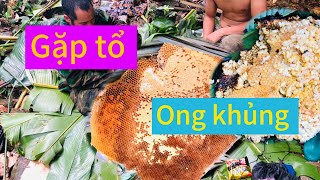 Hành trình đi bắt tổ ong rừng và món nhộng ong nướng lá chuối siêu ngon havlog97havlogs vùngcao [upl. by Meyer]