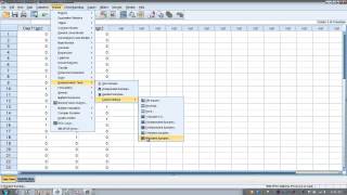 How to Use SPSS Cochrans Q Test [upl. by Anomahs]