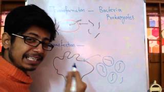 Transformation Vs Transfection [upl. by Bolen]