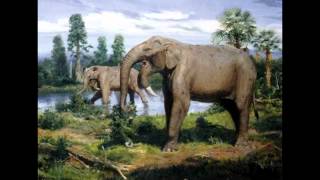 Top 10 Prehistoric Mammal Herbivores [upl. by Sasnak]