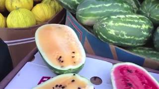 How to pick a watermelon [upl. by Ecinad]