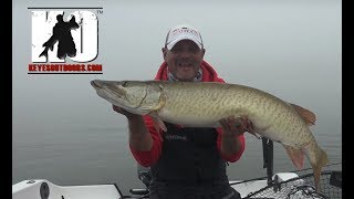 Solo Musky Fishing in Green Bay Wisconsin [upl. by Yeldoow]