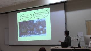 Dr Dan Beck From Snakes in Washington to Lizards in Mexico [upl. by Anaj]