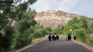 Flaming Gorge National Recreation Area [upl. by Manly]