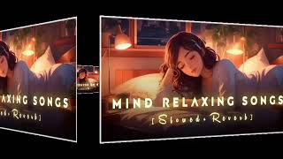 Mind Relaxing Lofi Songs  Slowed amp Reverb [upl. by Oulman]