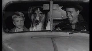 Lassie  Episode 121  quotThe Crisisquot  Season 4 18 n 01051958 [upl. by Cherry]