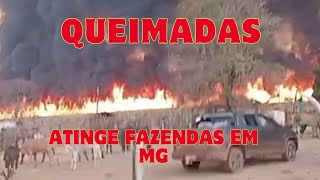 Queimadas zona rural de Uberlândia destroi a fauna e a flora canalchegaozoom [upl. by Ettelrahc746]