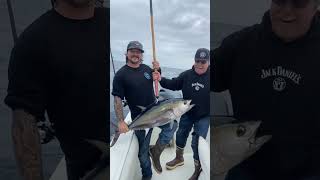 Solid plunker bite on some solid Bluefin Tuna at San Clemente island [upl. by Finnegan]