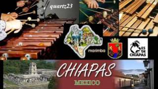 Marimba Orquesta Perla de Chiapas  Camaron Pelao [upl. by Danie]