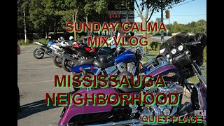 MISSISSAUGA NEIGHBORHOOD [upl. by Mossolb]