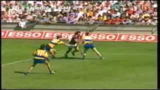 Clare v Galway 1995 All Ireland SHC Semi Final [upl. by Teeter]