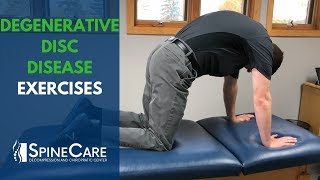 Degenerative Disc Disease Exercises  SpineCare St Joseph MI Chiropractic [upl. by Cindy]