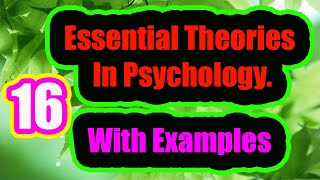 16 Essential Theories In Psychology With Examples [upl. by Tdnarb]