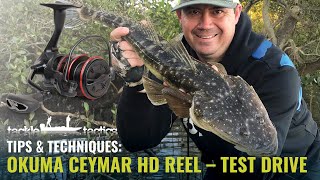 Okuma Ceymar HD Spin Reels  Test Drive [upl. by Ahgiel411]