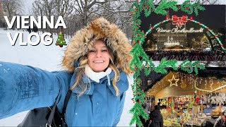 VIENNA VLOG 🎅🏼 alla scoperta dei MERCATINI di NATALE tra i più BELLI dEUROPA 🎄 [upl. by Eeryn]