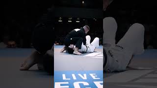 Tainan Dalpra VS Tarik Hopstokbjj jiujitsu [upl. by Naimaj]