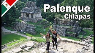 Palenque Chiapas zona arqueológica [upl. by Bertle359]