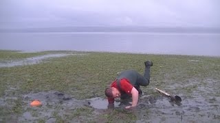 WA Shellfish Quest EP 15 Geoduck [upl. by Blaze]