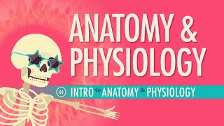 Introduction to Anatomy amp Physiology Crash Course Anatomy amp Physiology 1 [upl. by Ymarej]