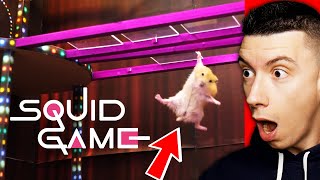 DES HAMSTERS jouent à SQUID GAME dans LA VRAIE VIE incroyable [upl. by Isidro]