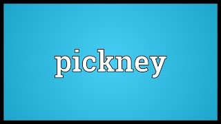 Pickney Meaning [upl. by Ziwot]