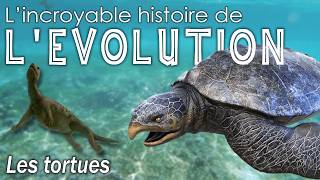 Aux origines des tortues  Évolution  Paléontologie  Simplex Paléo [upl. by Gladis]