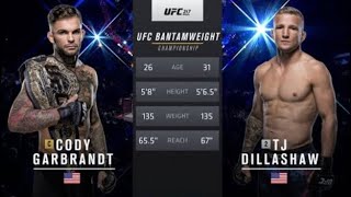 Cody garbrandt vs TJ Dillashaw full fight ufc 217 [upl. by Eenwat]