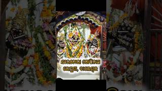 କ୍ଷୀରଚୋରା ଗୋପିନାଥ ରେମୁଣାkhirachoragopinathbalesore krishna hindugod exploreutkalshorts yt [upl. by Plate]