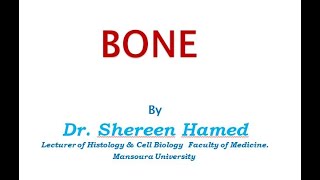 Histology of bone pharmacy [upl. by Nasia]