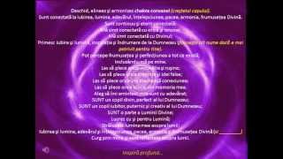 Meditatie deschiderea alineerea si echilibrarea chakrelor  12 [upl. by Adnak]