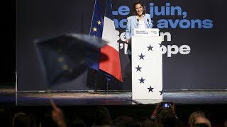 La discesa politica dei liberali perché quotRenew Europequot potrebbe perdere molti eurodeputati [upl. by Lorene]