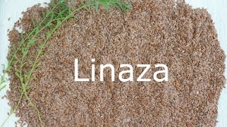 Beneficios de linaza para la salud cabello y piel [upl. by Elianora]