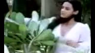 hum bewafa hargiz na the  YouTubeflv [upl. by Alraep]