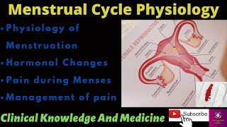 Menstrual Cycle  Physiology Hormonal Changes during menses Pain in menses and treatment of pain [upl. by Annahvas]