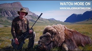 1000 pound muskox shot in greenland Major Hunting [upl. by Muffin]