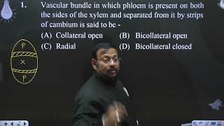 Vascular bundle in which phloem is present on both the sides of the xylem and separated from it [upl. by Brittnee]
