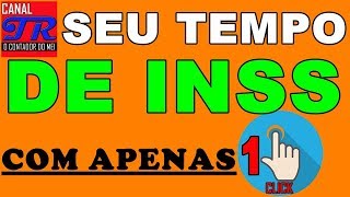 Como Saber Meu Tempo de Contribuição Com INSS [upl. by Ailesor]