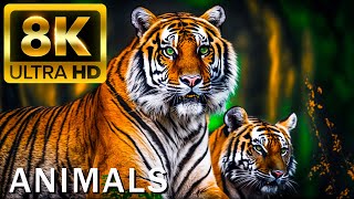 TOP 50 BEAUTIFUL ANIMALS  4K HDR 120fps Dolby Vision with Animal Sounds Colorfully Dynamic [upl. by Yasu959]