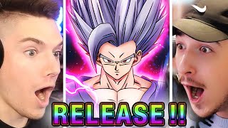 We got EVERY ANIMATION for LR Beast Gohan Dual Summon Battle vs Nanogenix in Dokkan 9th Anniversary [upl. by Buford]