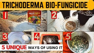 5 UNIQUE Ways of using Trichoderma Biofungicide in Garden  How to Multiply Trichoderma Viride [upl. by Theressa]