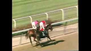 Affirmed  1978 Belmont Stakes CBS footage [upl. by Stander]