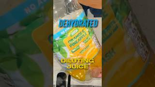 Dehydrated Diluting Juice airfryer cooking snacks food picnic pincichack dehydrate squash [upl. by Araj]