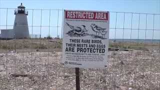 Visit to Bird Island Marion [upl. by Morten731]