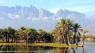 Socotra las fascinantes y remotas islas que parecen de otro planeta [upl. by Cormier]