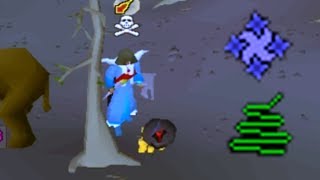 Pking in Very Odd Places on Runescape OSRS [upl. by Homer926]