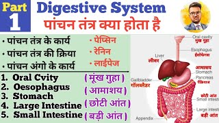 Digestive System  पांचन तंत्र   GI Tract  Organs of Digestive System  Oral Cavity  Oesophagus [upl. by Naval]