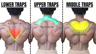 TRAPS WORKOUT TOP 5 exercises AT GYM [upl. by Cirdet993]